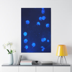 Jelly Fish Wall Art