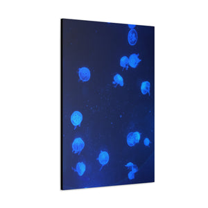 Jelly Fish Wall Art