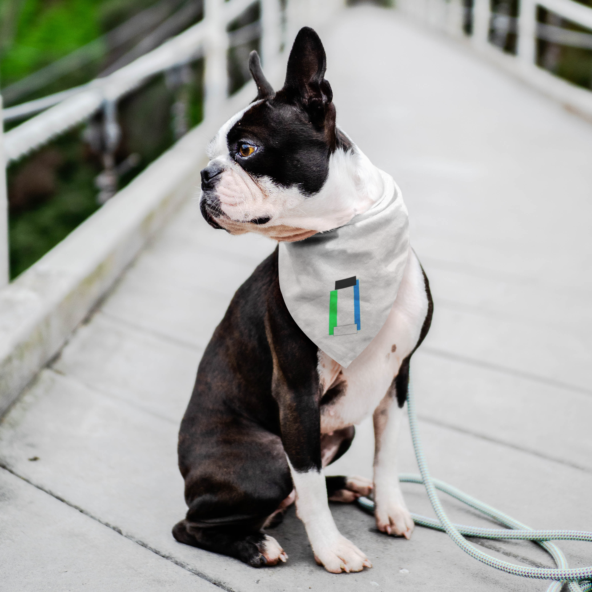 "O" Initial Pet Bandana