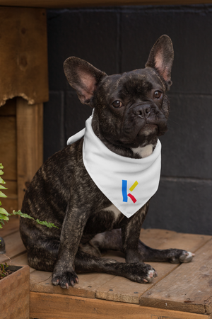 "K" Initial Pet Bandana