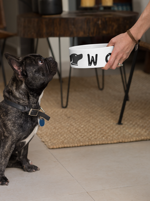 "WOOF" Pet Bowl