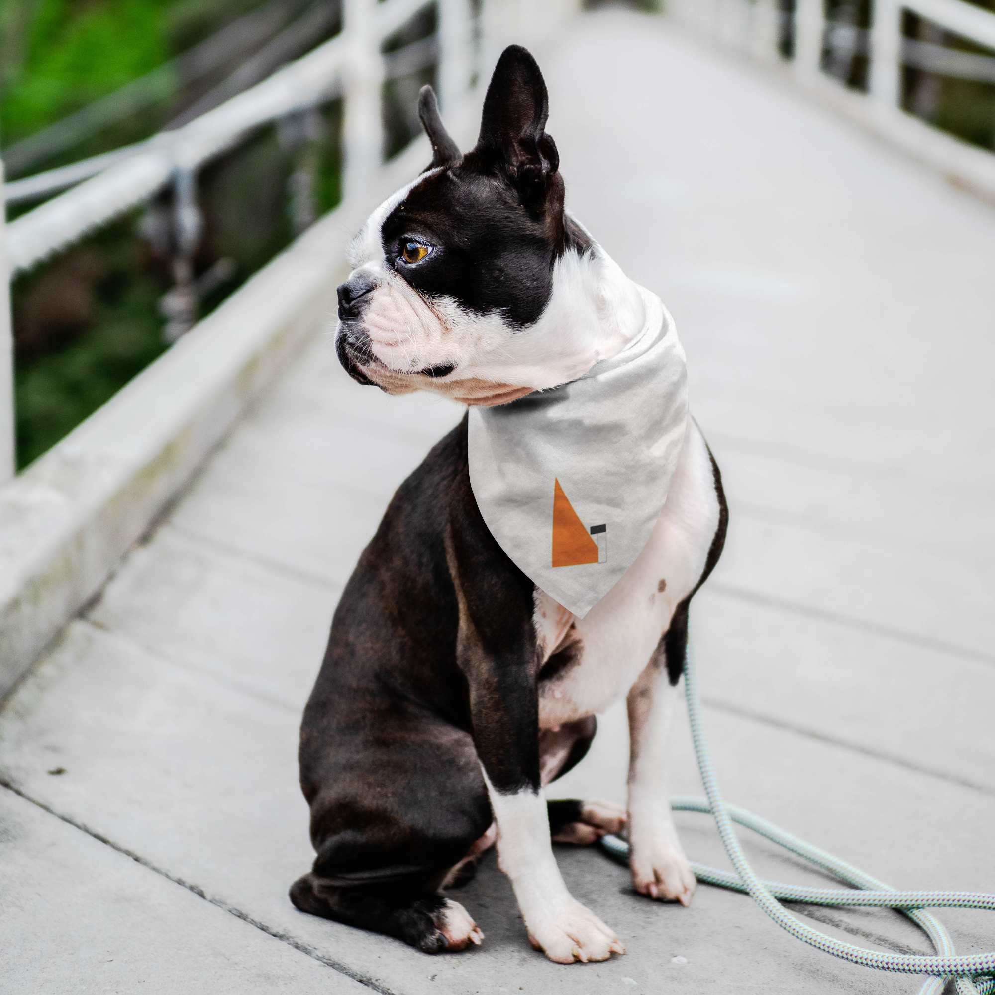 "G" Initial Pet Bandana